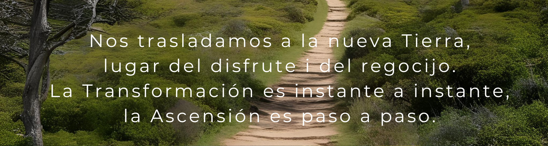 Imágenes con Luz Imágenes con Luz